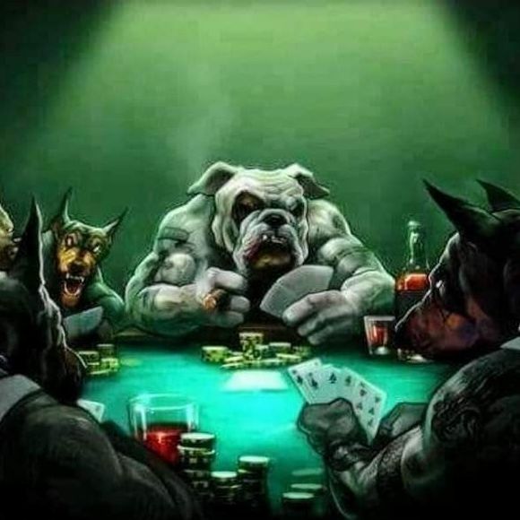 Meet your Posher, Mack - Picture 1 of 1